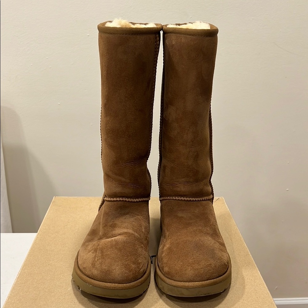 Tall Classic Chestnut Ugg Boots